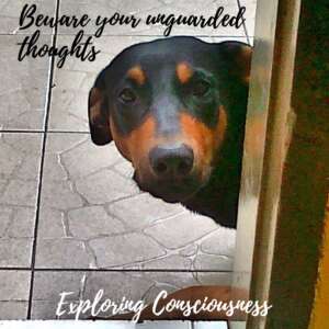 Sad dog peeking, 'Beware your unguarded thoughts'.