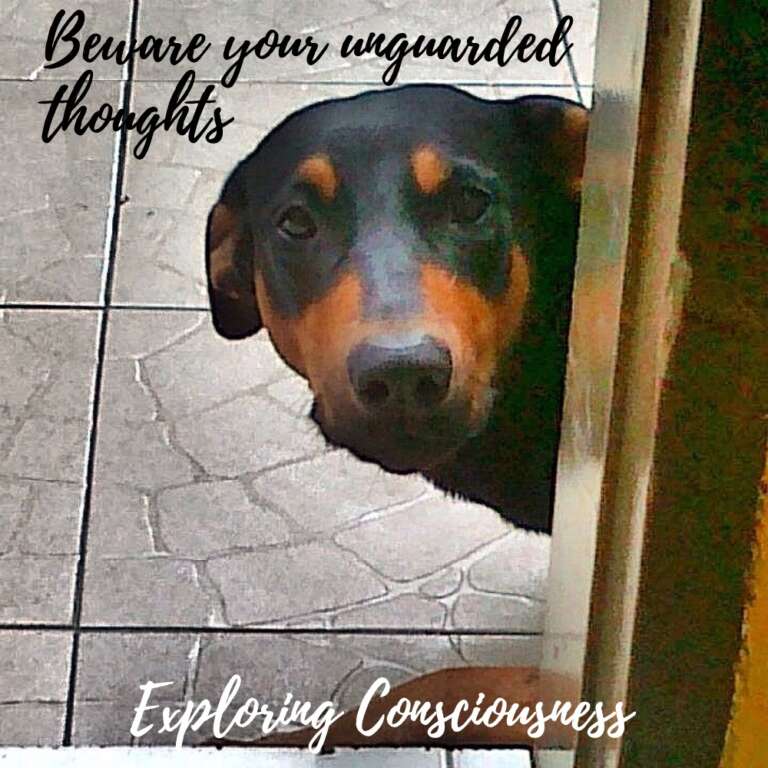 Sad dog peeking, 'Beware your unguarded thoughts'.